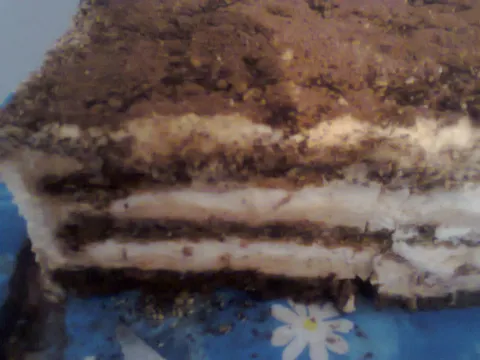 FINA SOCNA TORTA