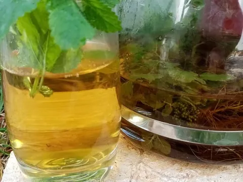 Čaj topli ili hladni super napitak