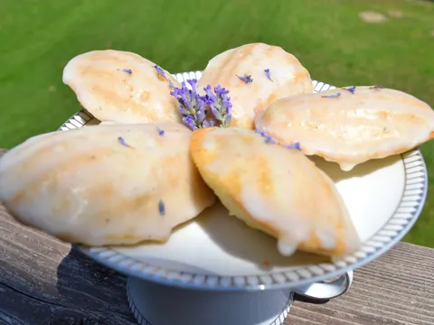 Lavanda madeleines