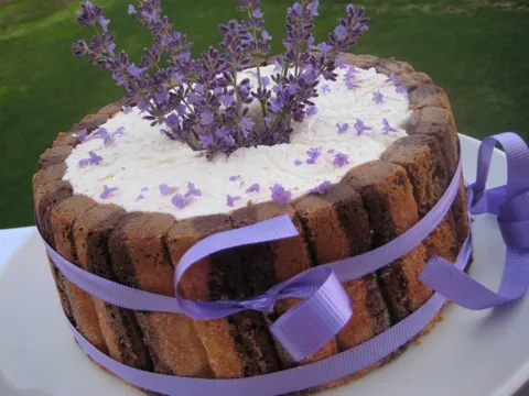 Lavanda tiramisu