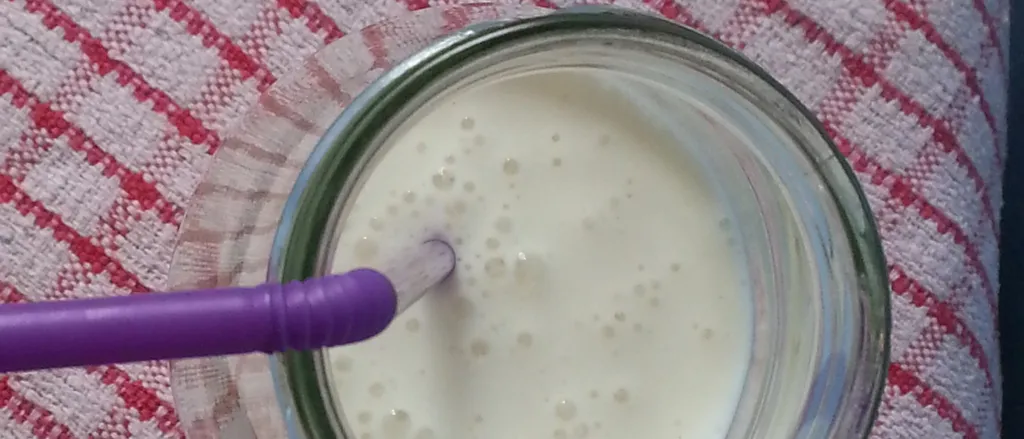 Domaci jogurt