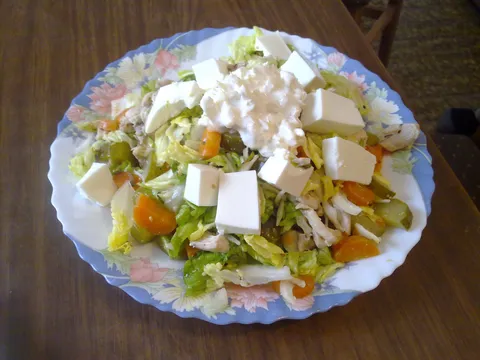 Niskokaloricna Salata