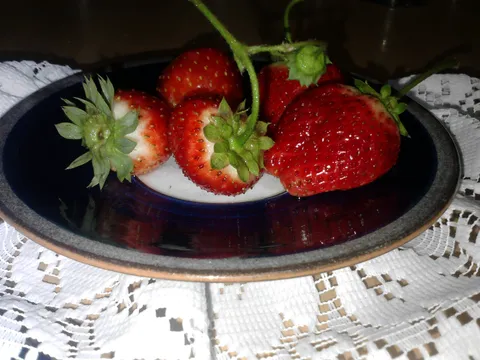VOCNA SALATA SA JAGODAMA,SLJIVAMA I GRANCHREALE KEKSIMA