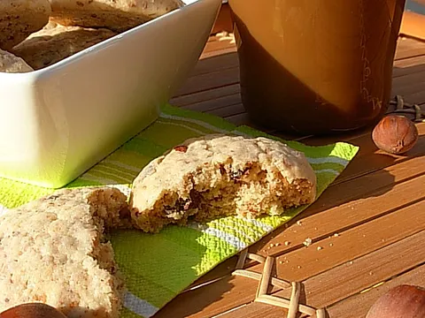Oatmeal Chocolate Chip Cookies...radilica