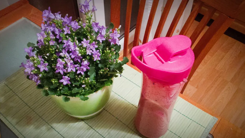 Smoothie
