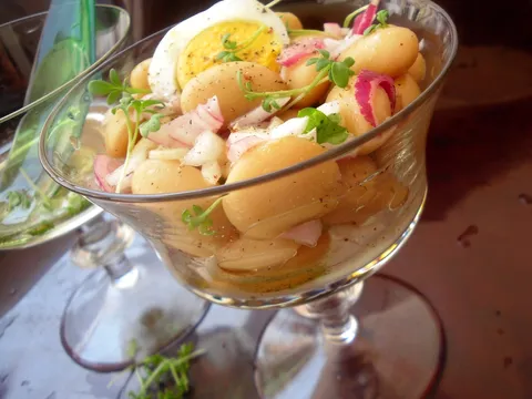 Salata od pasulja