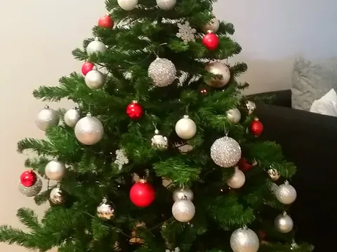 moj bor...sretan Božić svima sa malim zakasnjenjem