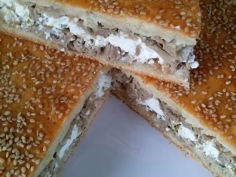 CHANJOTIKI KREATOTURTA // HANJSKA PITA OD MESA//