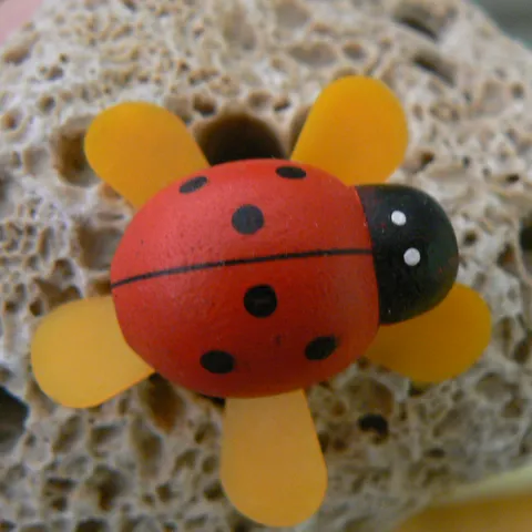 kika-pika