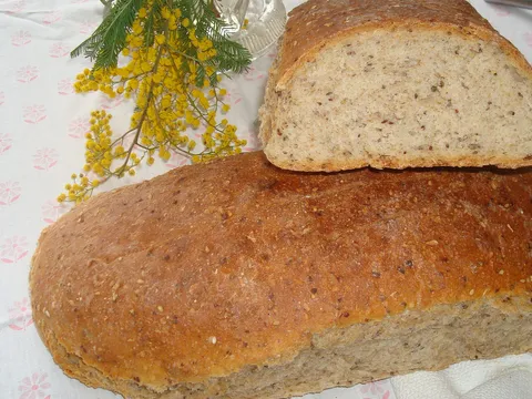 Kruh sa sjemenkama