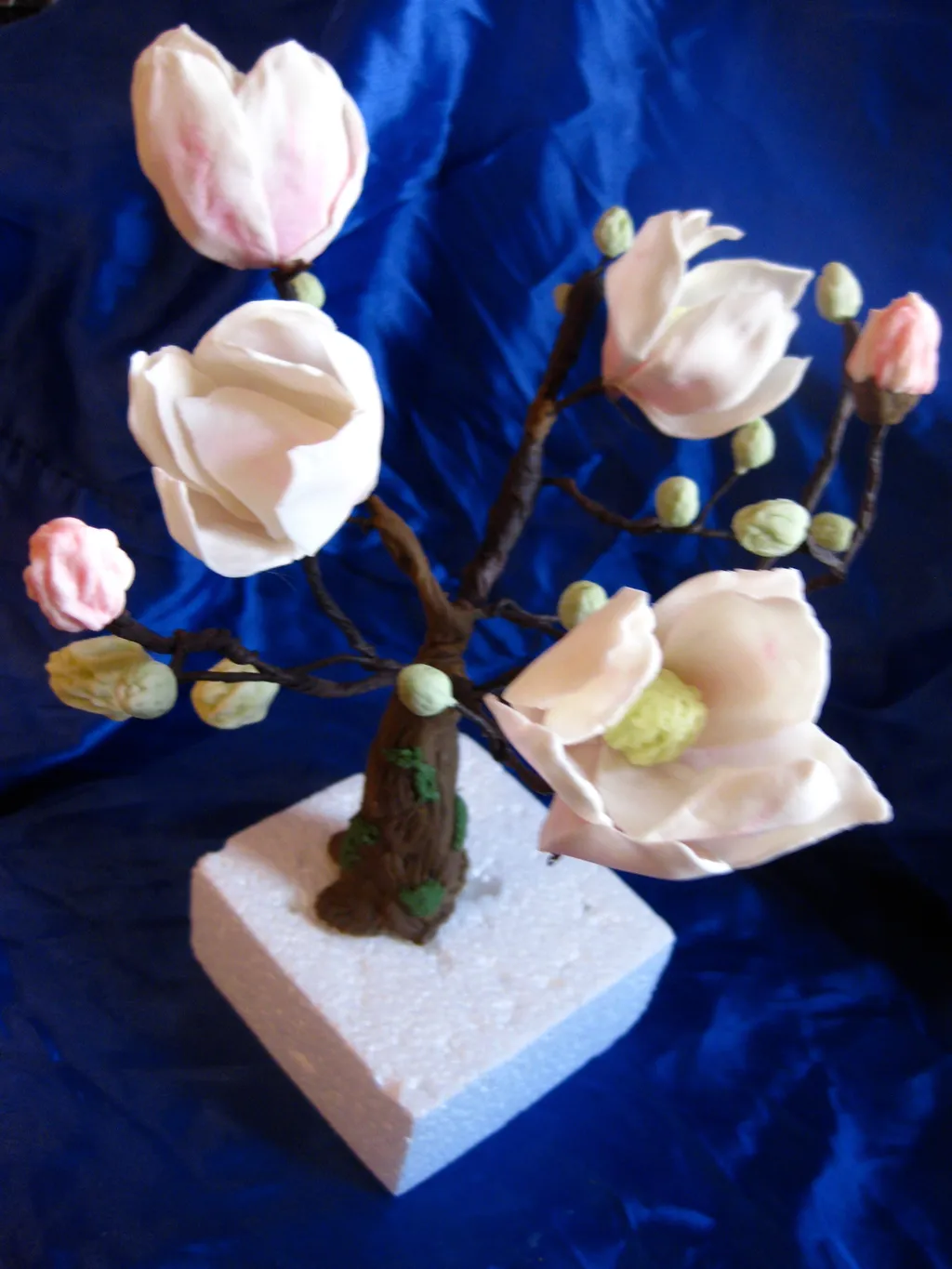 Magnolija