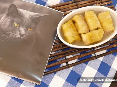 Sarma sa Tunjevinom
