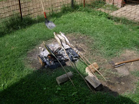 Štuka na oko