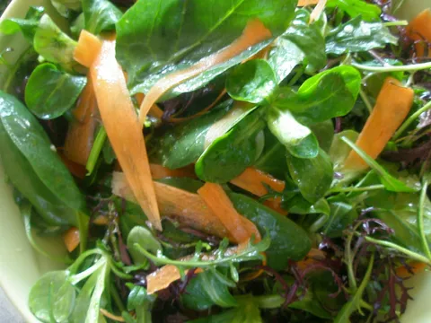 Salata od mladog špinata, rikule, matovilca