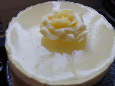 Jos jedna torta sa sljivama i sirom