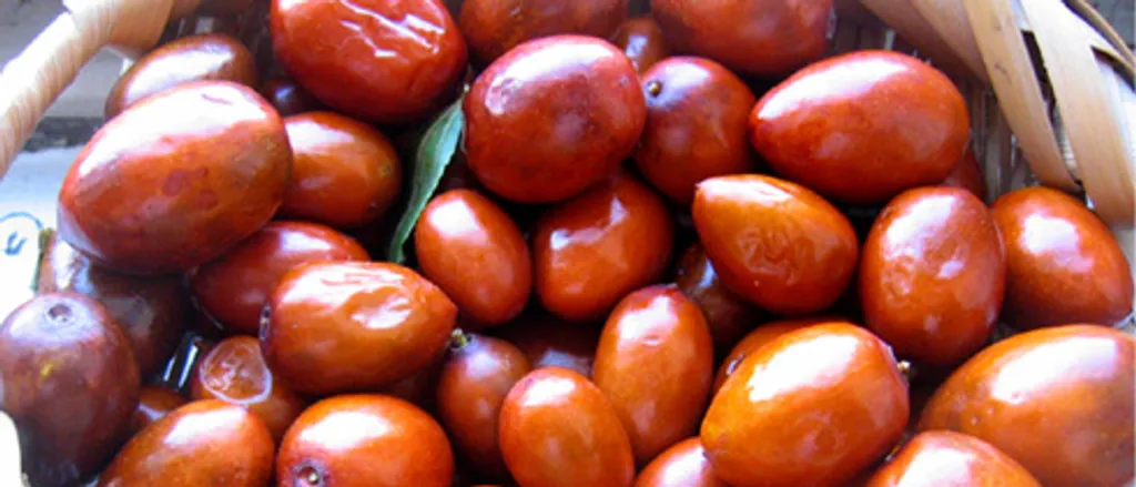 Žižule