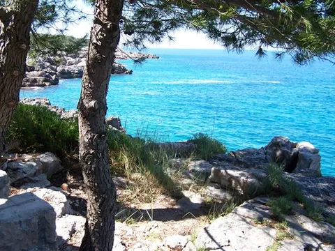 Moja ponta