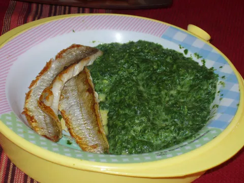 djecije zelenilo