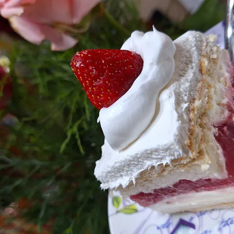 Krem torta sa jagodama