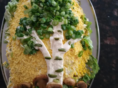 Breza salata