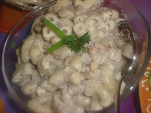 Makaroni salatica
