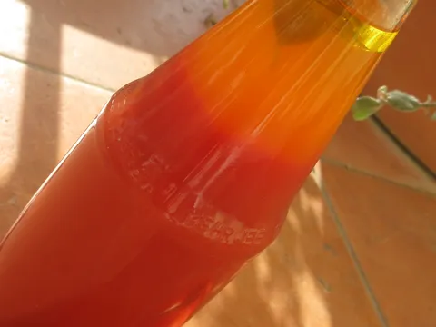 Sok od rajcica