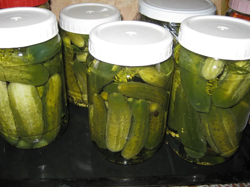 Kiseli krastavci