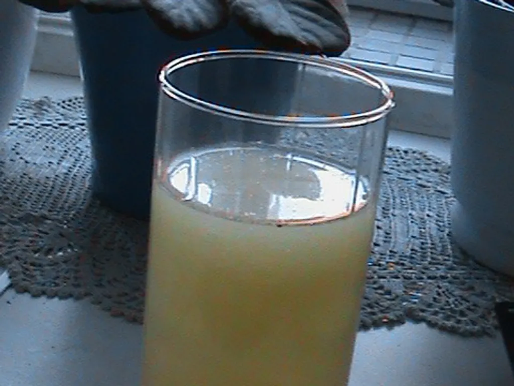 Domaći juice