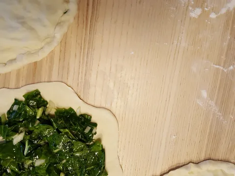 Babića-soparnikić by betinna