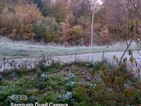 20211025_071951.jpg
