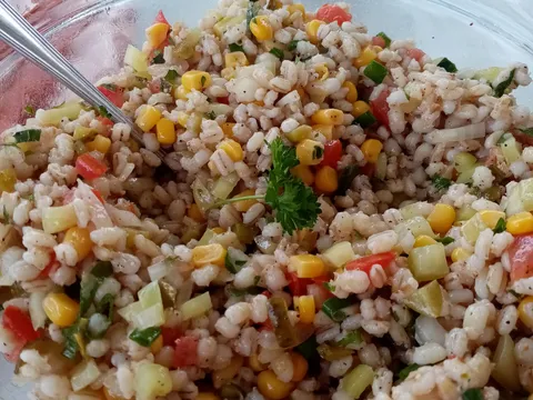 Ljetna salatica od ječmene kaše