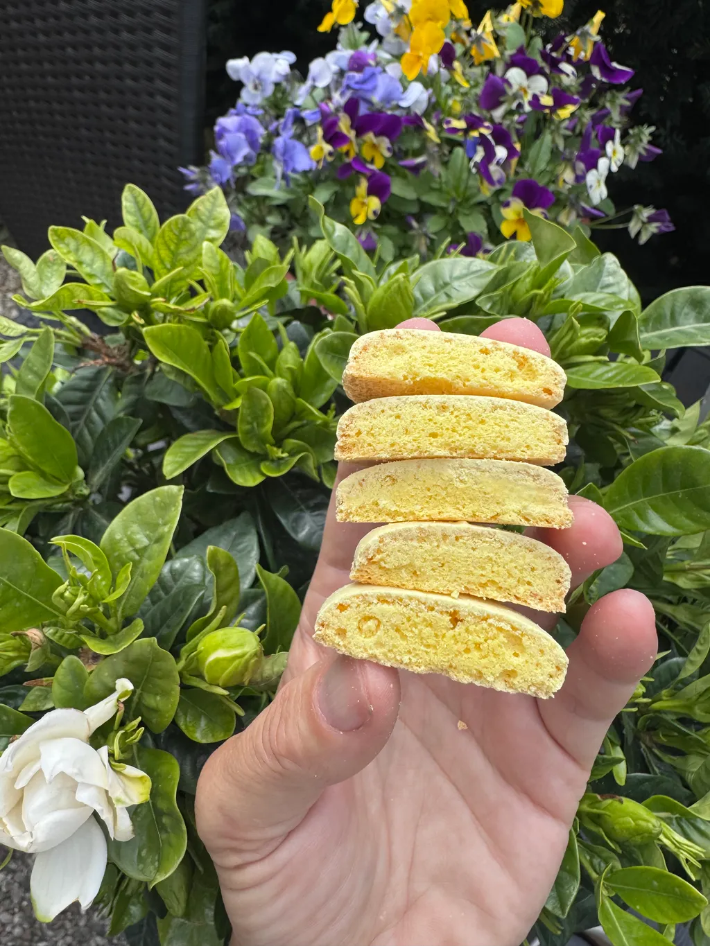 No hollow Macarons 