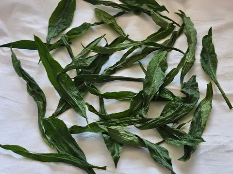 Medvjedji Luk - Suseni na zraku 