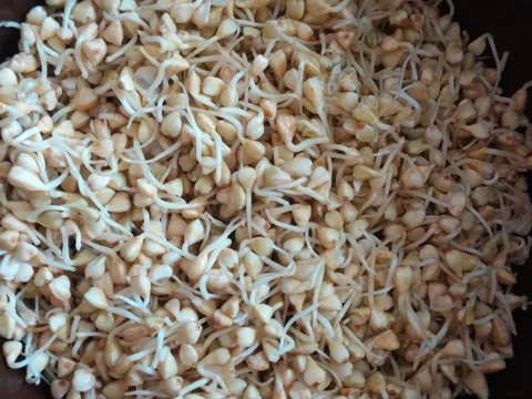 Heljda / orijentalni recept