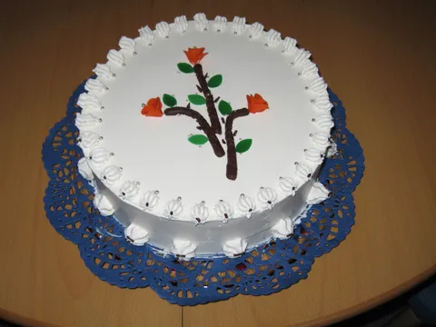 Torta od čokolade