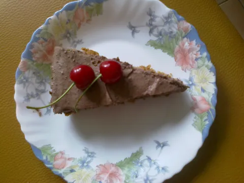 Tortica na brzinu