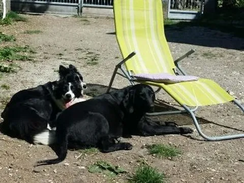 ljubav za sva vremena by mives