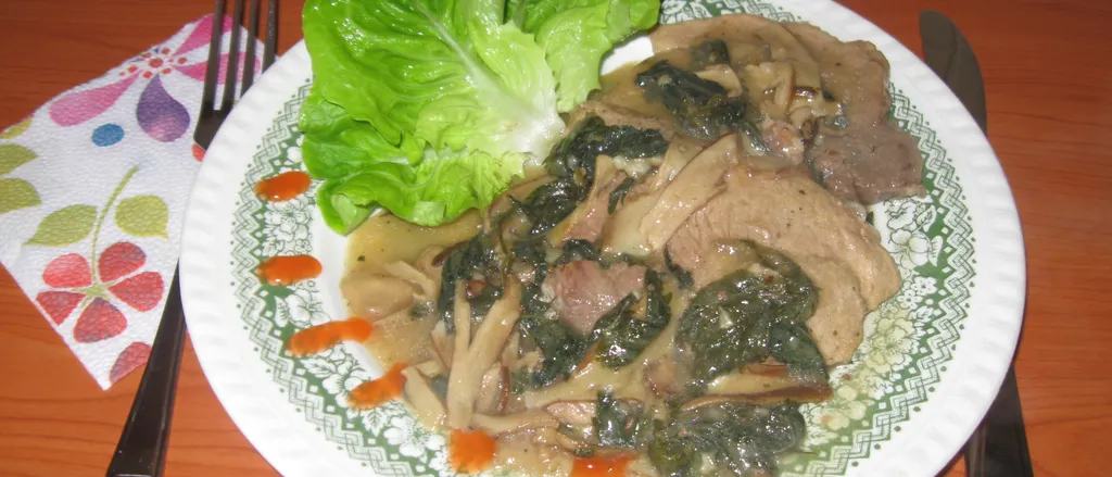 Snicle a la slavkakvo