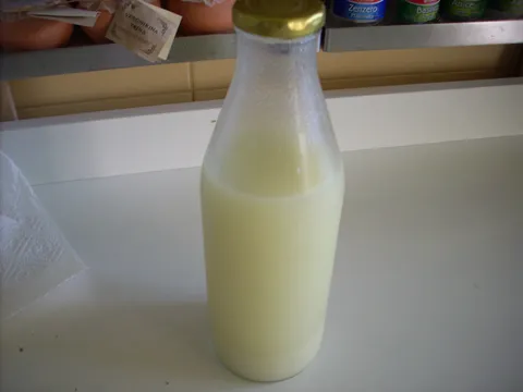 napitak od limuna i češnjaka
