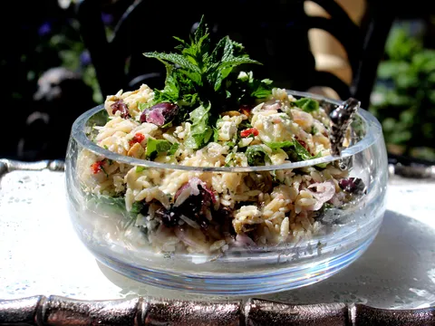 Orzo pasta salata