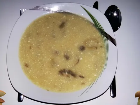 Juha od vrganja bake Barice