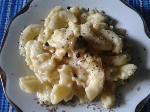 Makarone sa Tikvicama i Maslinama (UN dijeta)