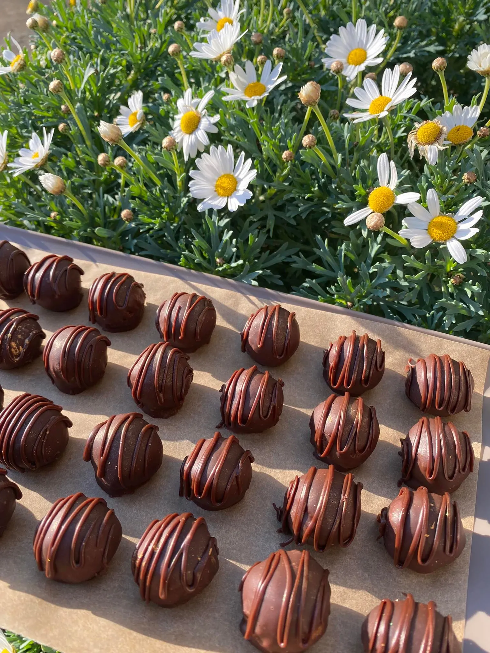Čokoladne praline