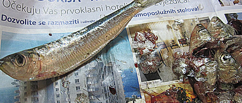 KREPAT,  MA NE MOLAT