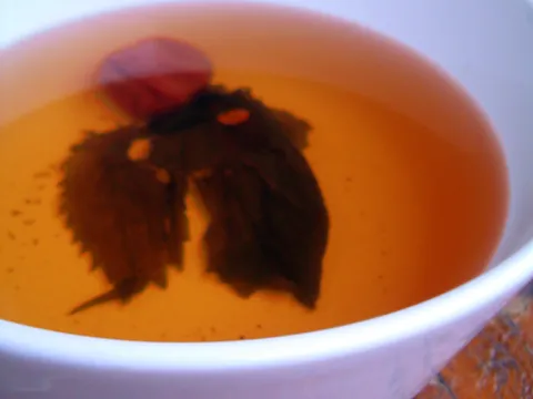 Umeboši čaj (ume-sho-ban)
