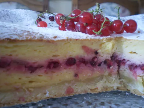 Torta od sira s ribizom