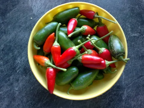 Jalapeno paprike punjene sirom