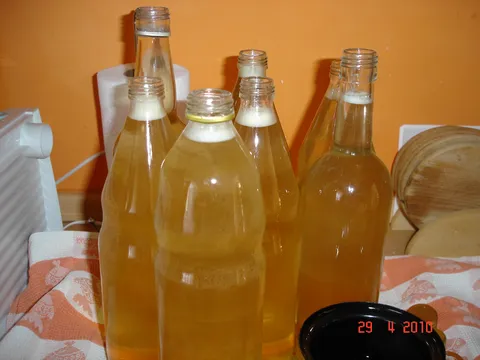 sok od kopriva