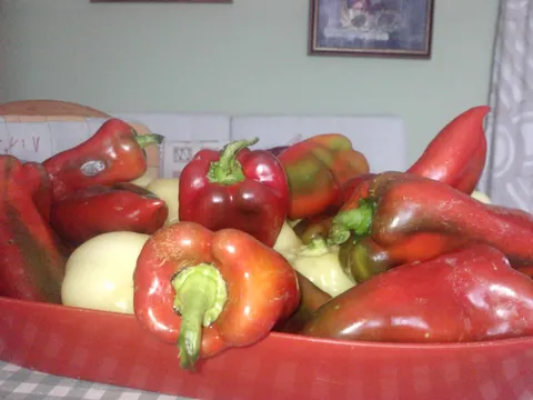 CRVENA RAPSODIJA&#8230;