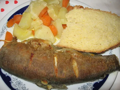 Podravska pastrva